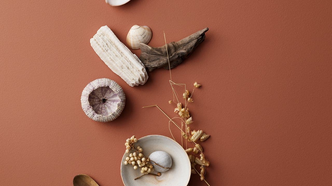 Bordplate malt med trendfargen 20217 Muted Coral fra Jotun og detaljer som skjell, tørkede blomster og drivved.