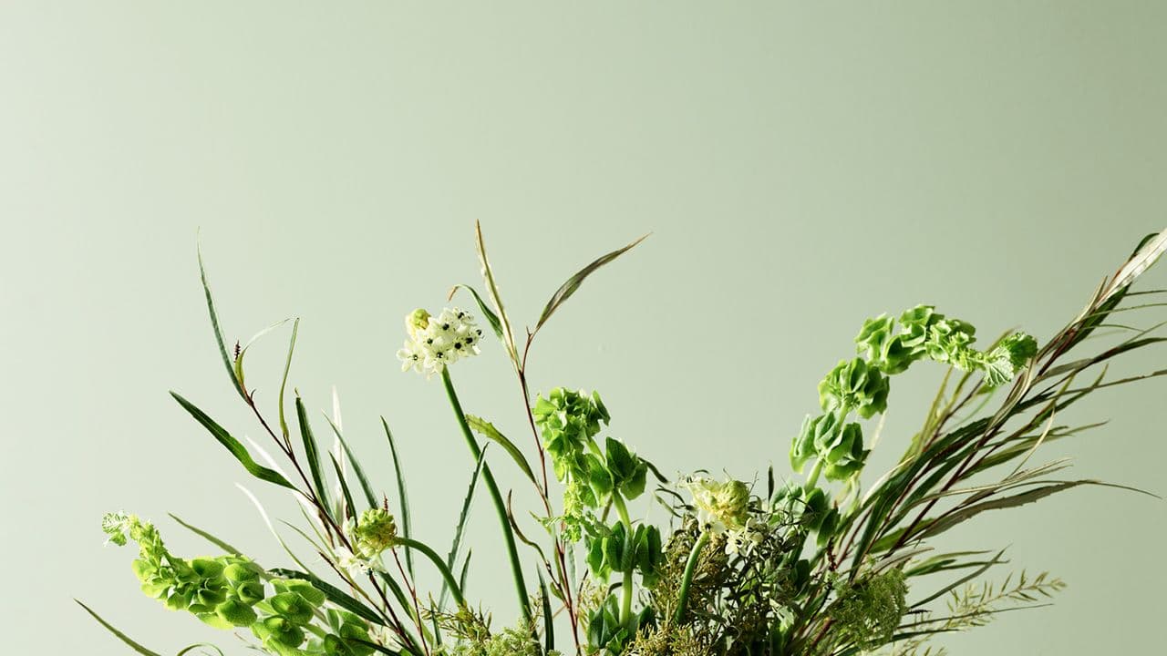 Bukett foran vegg malt i trendfargen 7386 Pistachio fra Jotun.