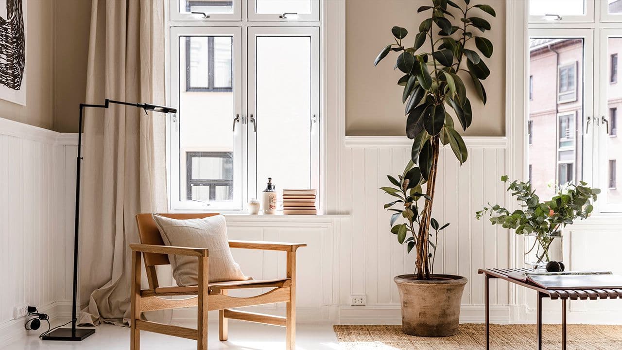 stol og planter